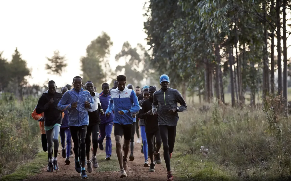 Gemächlicher Dauerlauf für die Grundlagenausdauer: Eine Trainingsgruppe von Spitzenläufern in der Höhe Kenias. Gemächlicher Dauerlauf für die Grundlagenausdauer: Eine Trainingsgruppe von Spitzenläufern in der Höhe Kenias.
